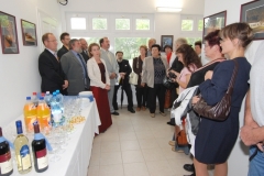 gyulavari_kastely_galeria_12