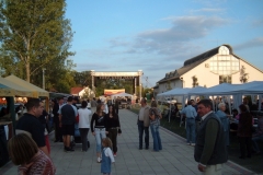 gyulavari_kastely_galeria_37